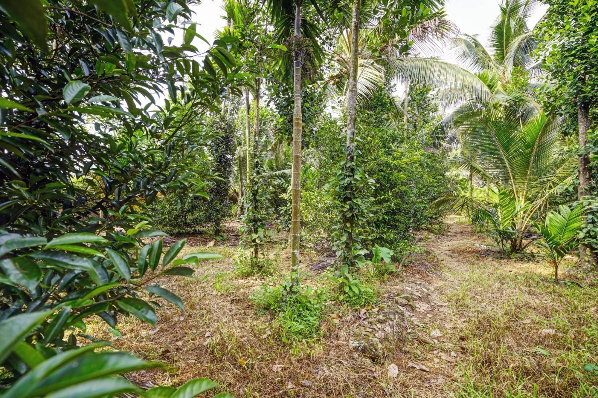 Neriyamangalam Spot On Shalom Palace Residency מראה חיצוני תמונה